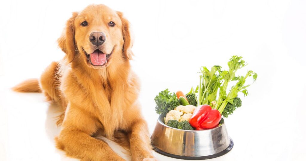 golden retriever dog laying next to bowl of various vegetables including celery